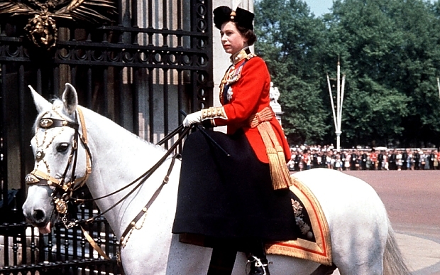 queen_horse_file_p_3486818b.jpg queen_horse_file_p_3486818b.jpg