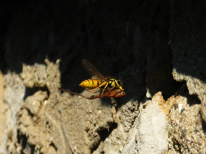 rscn1118.jpg