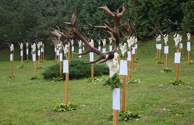 trofeamustra1.jpg