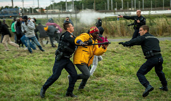 calais_migr_nov3.jpg