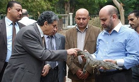 croco.jpg