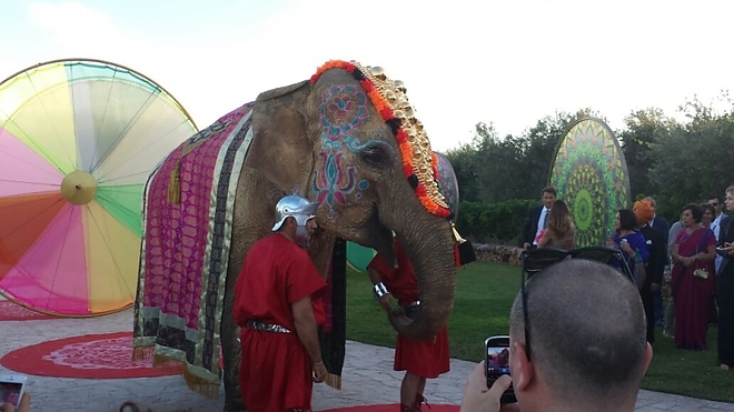 elefant_india_eskuvo.jpg