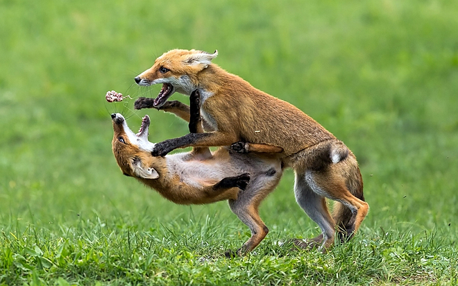 fotopalyazat6.jpg fotopalyazat6.jpg