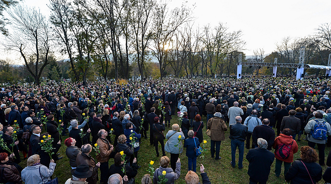 goncz.jpg goncz.jpg