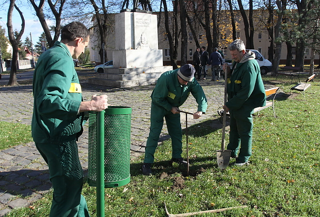 kuka_varosgazda_151118ml_20.jpg
