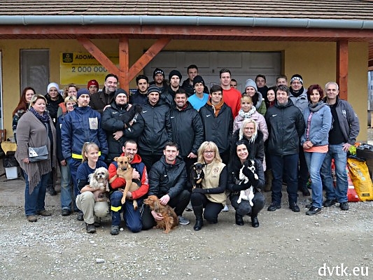 dvtk_masa_151206_1.jpg