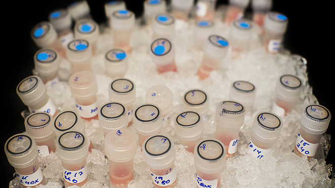 lab_work.jpg lab_work.jpg