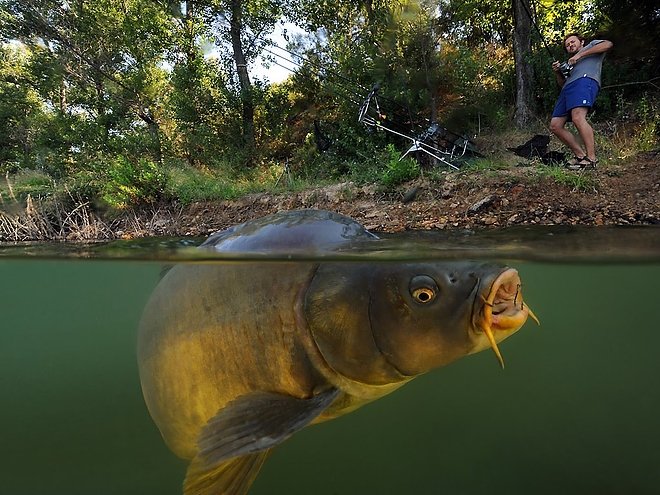 pontyok.jpg