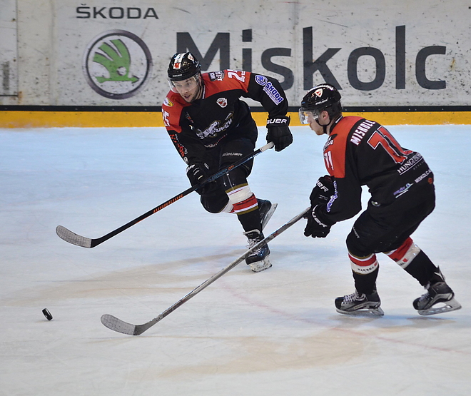 dvtk_jegesmedvek_debrecen_160108_vcs_16.jpg