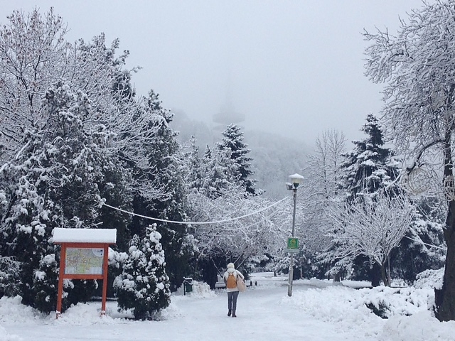 havazas_160115_ki1.jpg