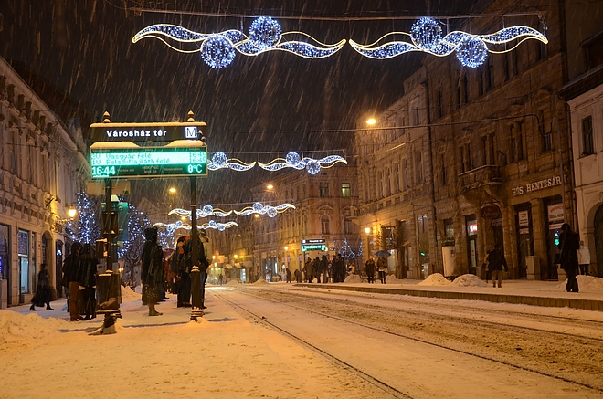 hoeses_160106_fkcs_3.jpg