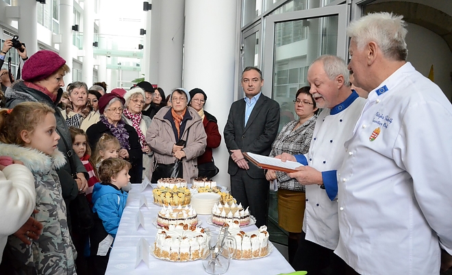 miskolc_torta_160131_fkcs_6.jpg