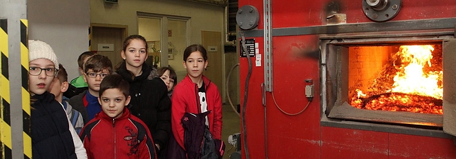bio_futomu_160223ml_20.jpg