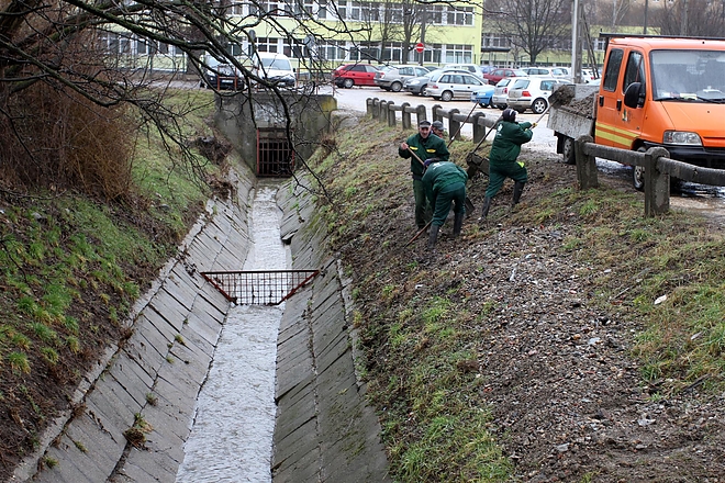pece_patak_medertakaritas_160219_ja_3.jpg