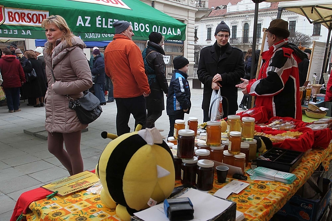 termeloi_vasar_160221_ja_24.jpg termeloi_vasar_160221_ja_24.jpg