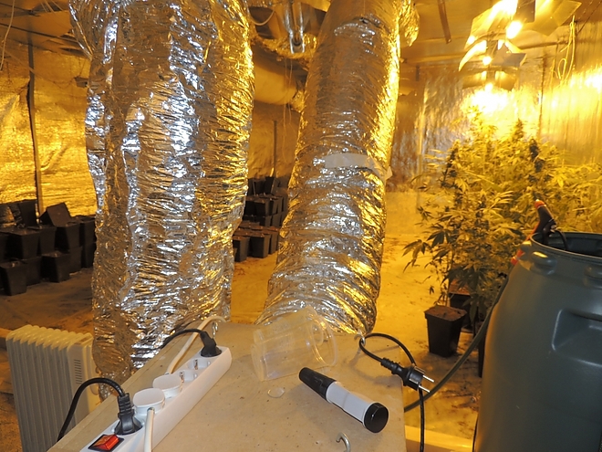 marihuana_rendorseg_160311.jpg