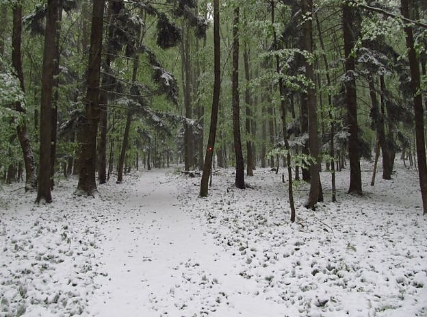 croatioa_snow2.jpg