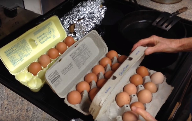 eggs_1.jpg