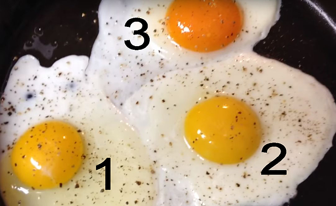 eggs_2.jpg