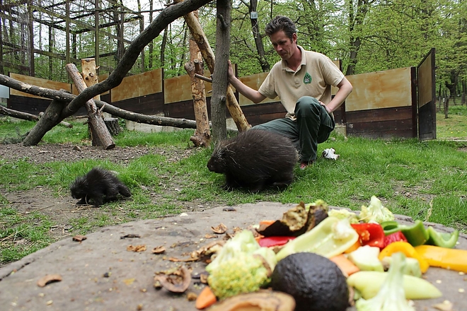 vadaspark_ujszulottek3.jpg vadaspark_ujszulottek3.jpg