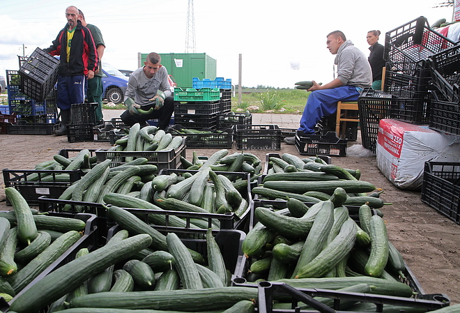 agrokultura_160517ml.jpg