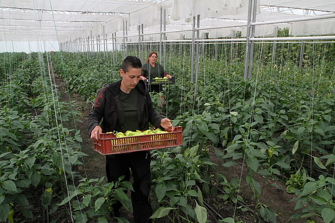 agrokultura_160517ml_15.jpg