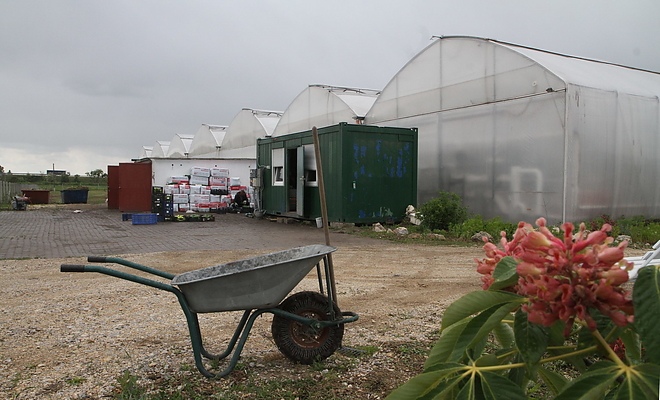 agrokultura_160517ml_27.jpg
