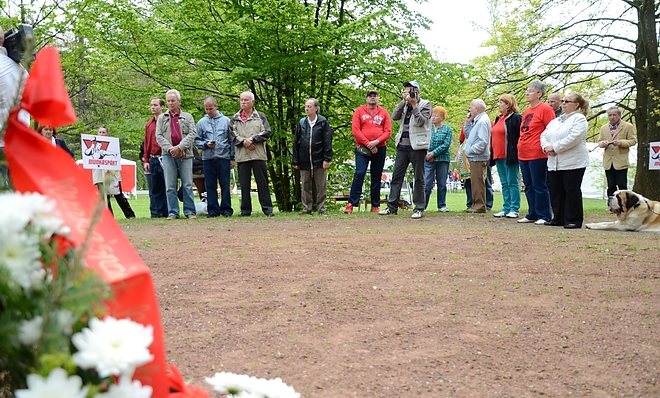 majalis_csanyik_160501_fkcs_6.jpg