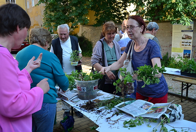 palanta_borze_160526_vcs_3.jpg