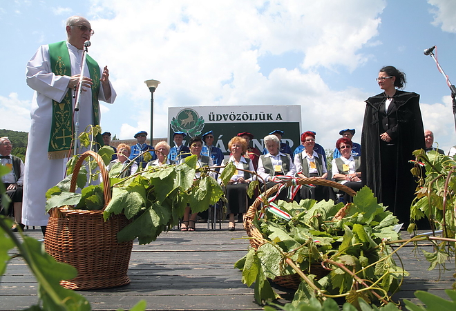 szololevel_szenteles_160527ml_4.jpg
