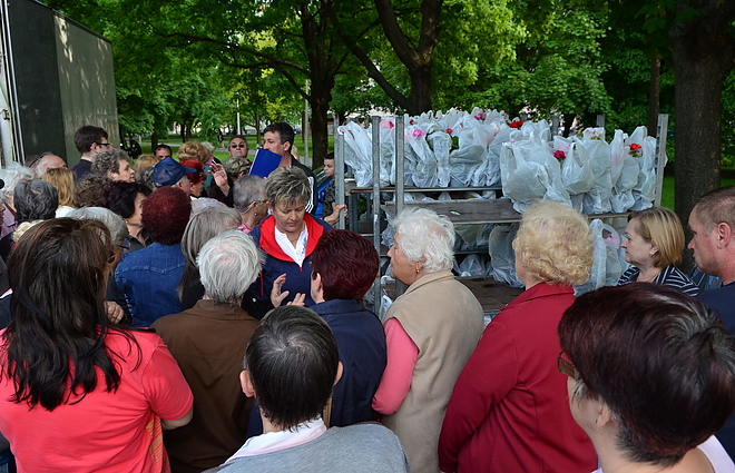 viragosztas_160506_vcs_2.jpg
