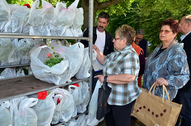 viragosztas_160506_vcs_6.jpg