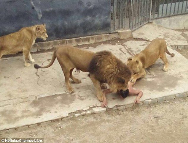 zoo_chille.jpg zoo_chille.jpg