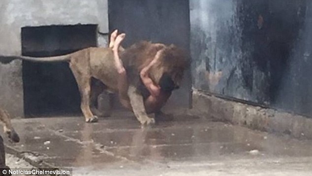 zoo_chille2.jpg zoo_chille2.jpg