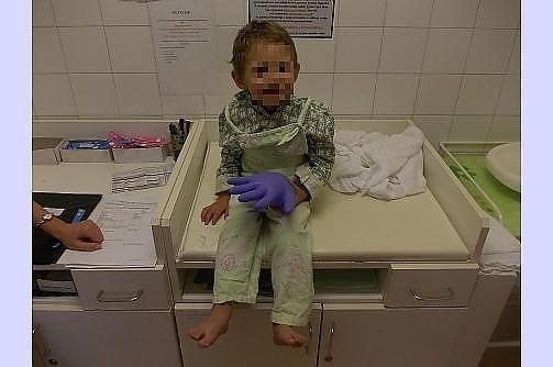 gerzsonka.jpg