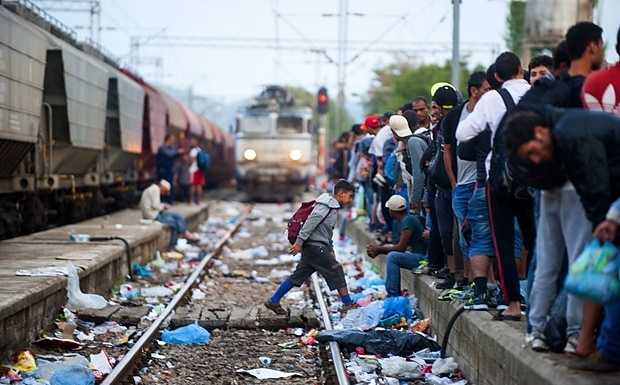 migrans_scmp_com_2015.jpg