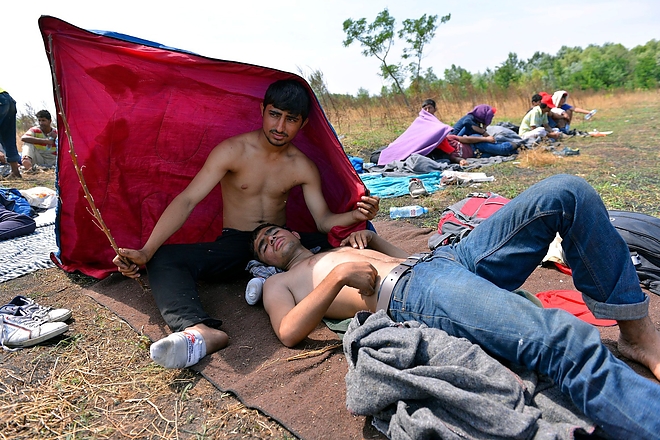 migrante_man_hu_border.jpg migrante_man_hu_border.jpg