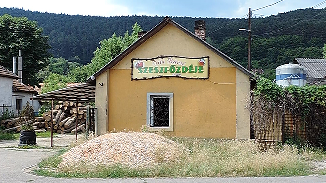 szeszfozde2.jpg