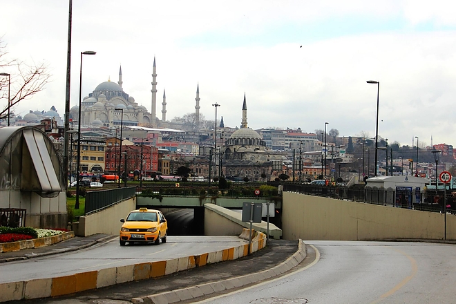 turkey.jpg