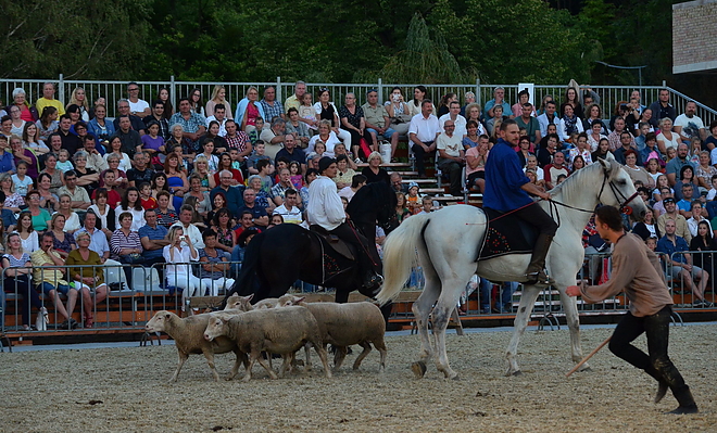 lovas_szinhaz_160814_vcs_33.jpg lovas_szinhaz_160814_vcs_33.jpg
