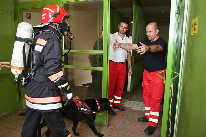 tuzoltofutas_20emeletes_160916_ja_29.jpg tuzoltofutas_20emeletes_160916_ja_29.jpg