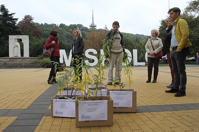 fa_kiosztas_1610178ml_17.jpg fa_kiosztas_1610178ml_17.jpg