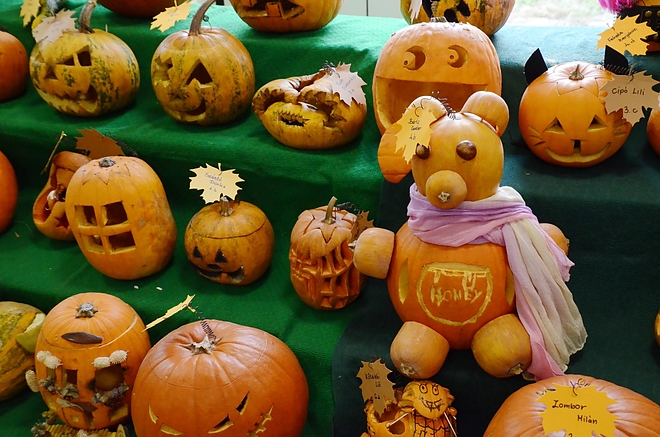 tokkiallitas_161020_fkcs_11.jpg