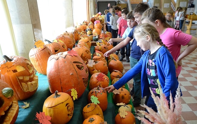 tokkiallitas_161020_fkcs_13.jpg