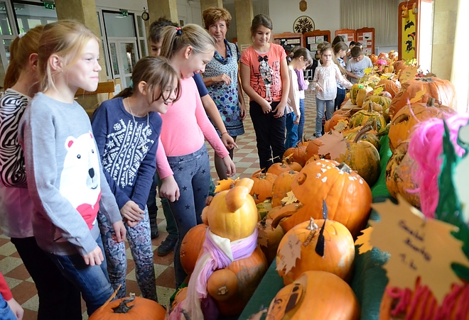 tokkiallitas_161020_fkcs_17.jpg