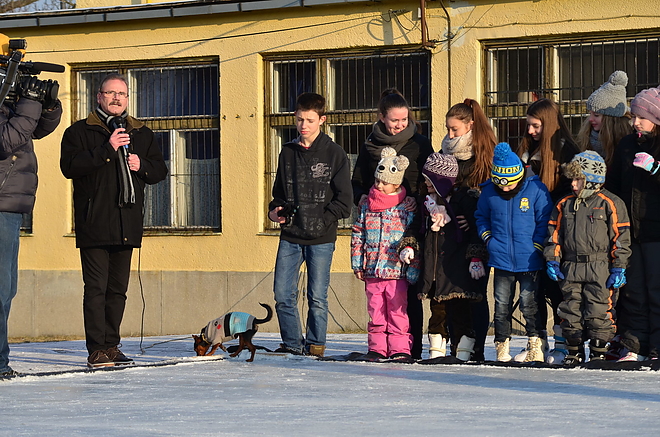 gorombolyi_jegpalya_170110_vcs_02.jpg gorombolyi_jegpalya_170110_vcs_02.jpg