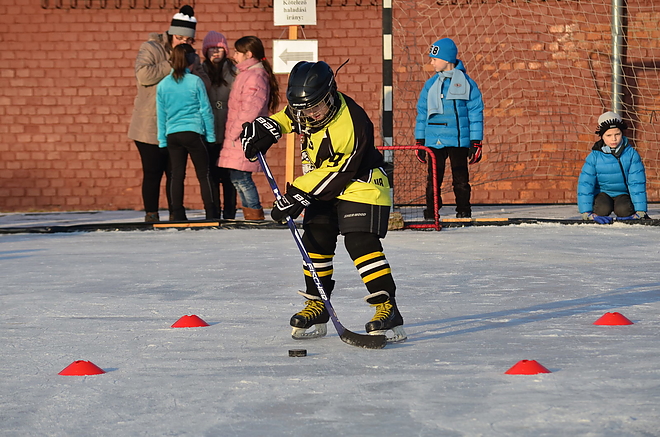gorombolyi_jegpalya_170110_vcs_07.jpg gorombolyi_jegpalya_170110_vcs_07.jpg