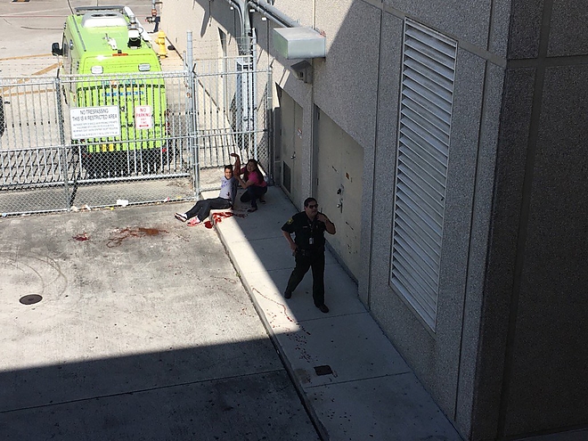 lovoldozes.jpg