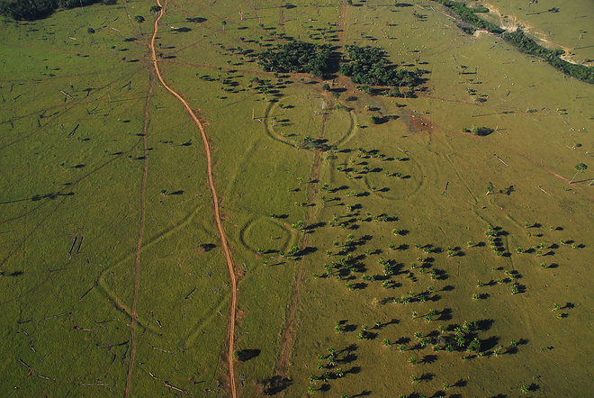 amazon-geoglyphs-6-remnants.jpg