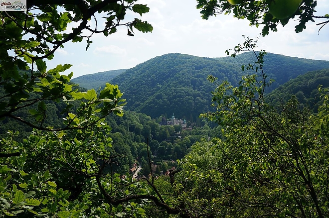 bukk.jpg bukk.jpg